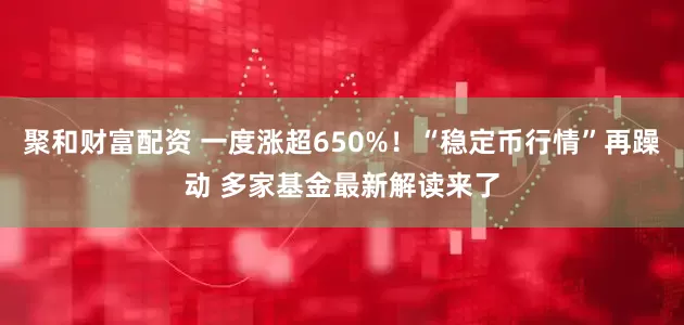 聚和财富配资 一度涨超650%！“稳定币行情”再躁动 多家基金最新解读来了